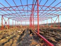 Фото данного продукта