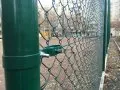 Фото данного продукта